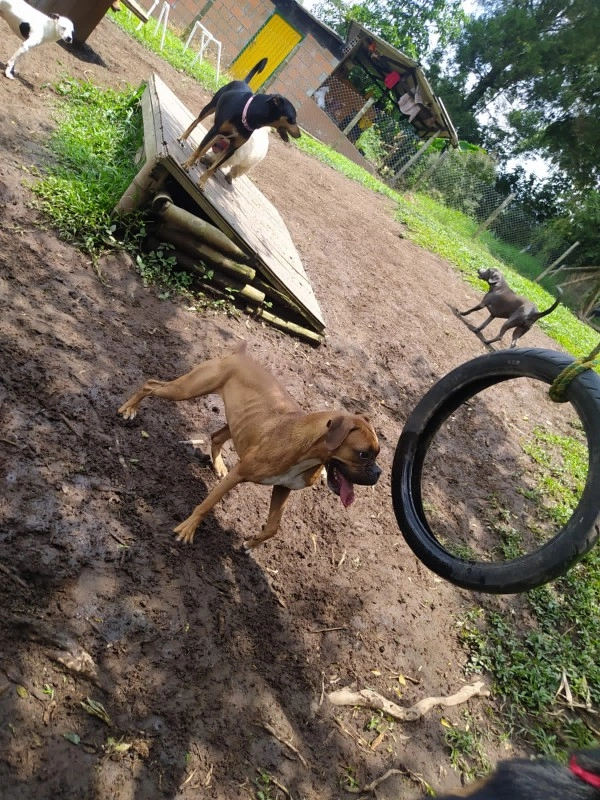 Guarderia Family Pet