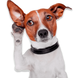 04febe65-62e5-4668-a3d3-ed5b07be00e2 1@2x